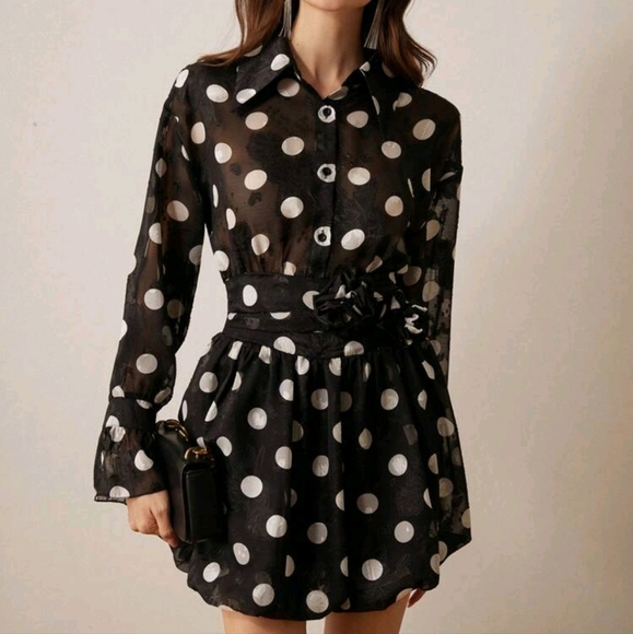 French Elegant Romantic Sheer Chiffon Polka Dot Turn Down Collar Waist Dress - Picture 3 of 4